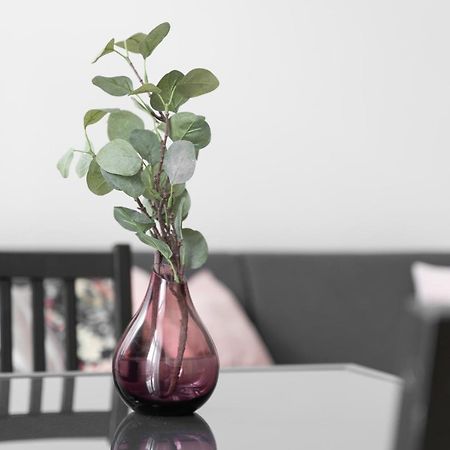 Kamienica Centrum Apartament Nr 11 什切青 外观 照片