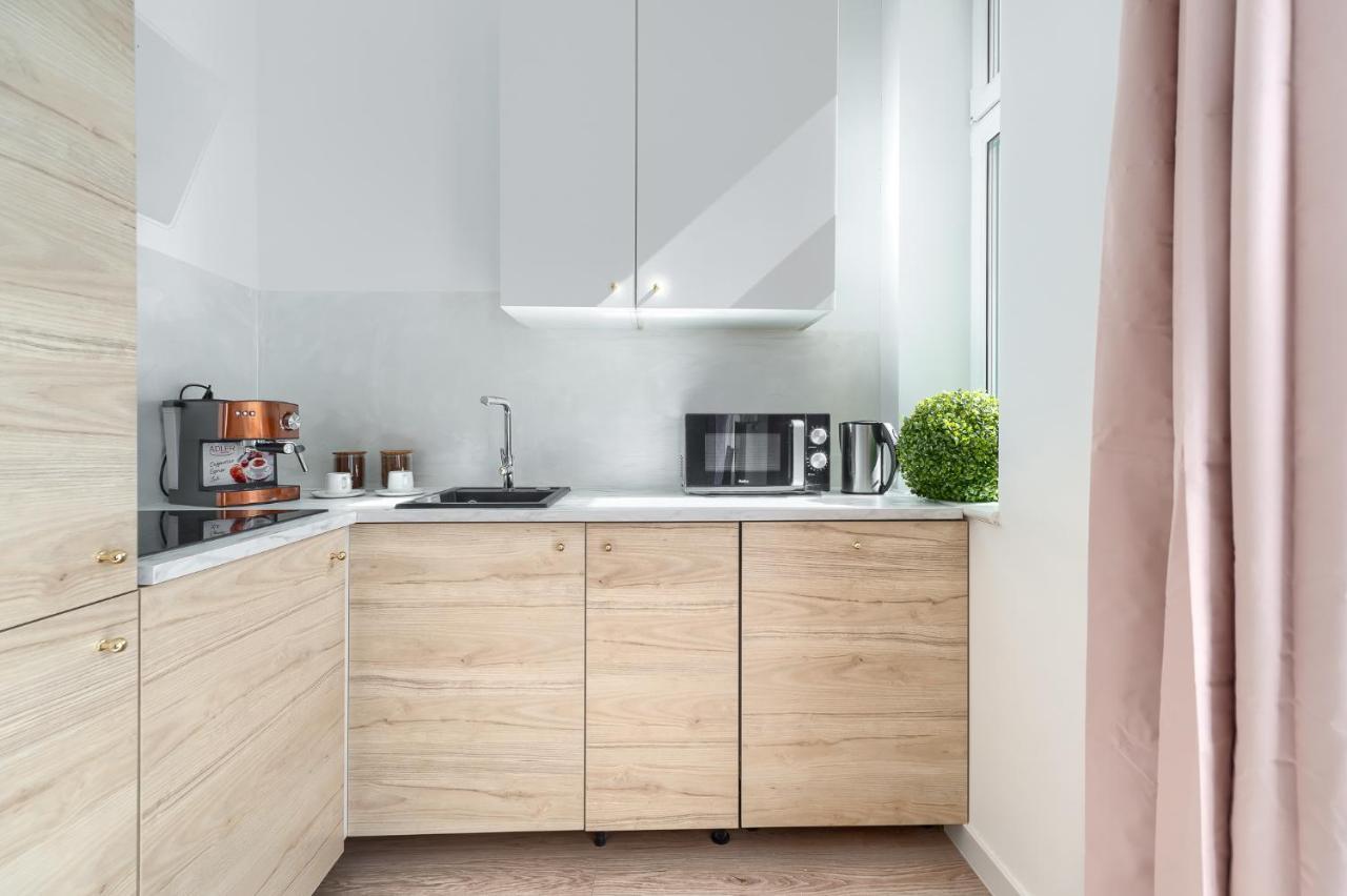 Kamienica Centrum Apartament Nr 11 什切青 外观 照片