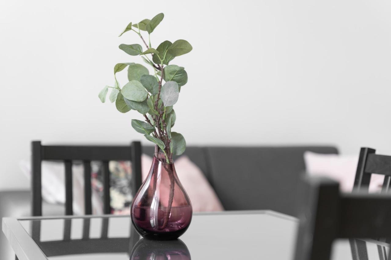 Kamienica Centrum Apartament Nr 11 什切青 外观 照片